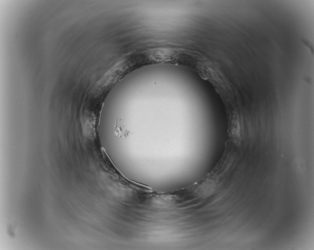 X0000102030332200807251357