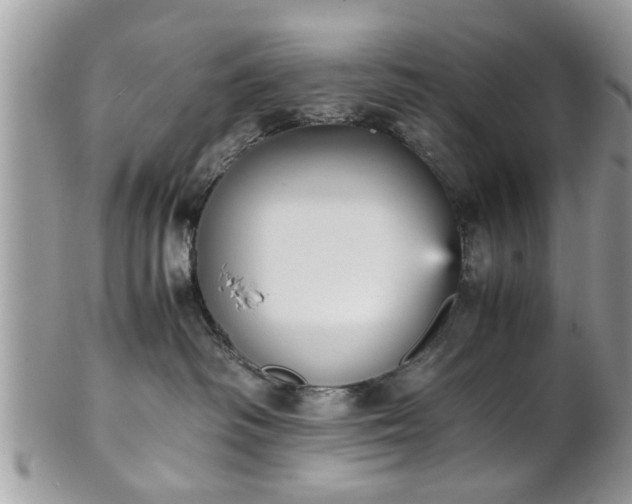 X0000102030334200807251357