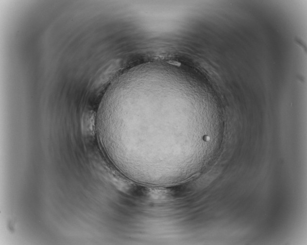 X0000102030336200807251357