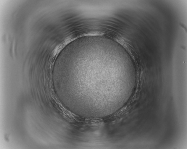 X0000102030337200807251356