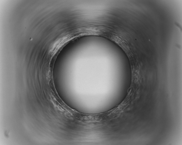 X0000102030338200807251356