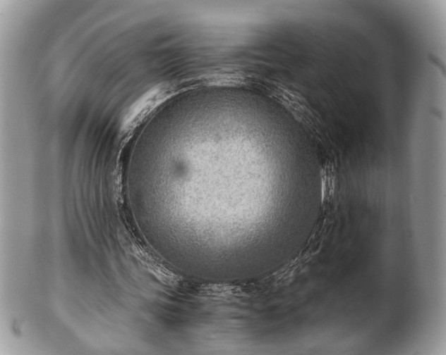 X0000102030339200807251356