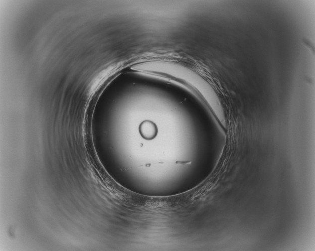 X0000102030340200807251356