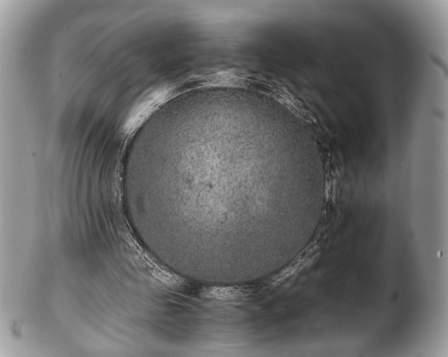 X0000102030341200807251356