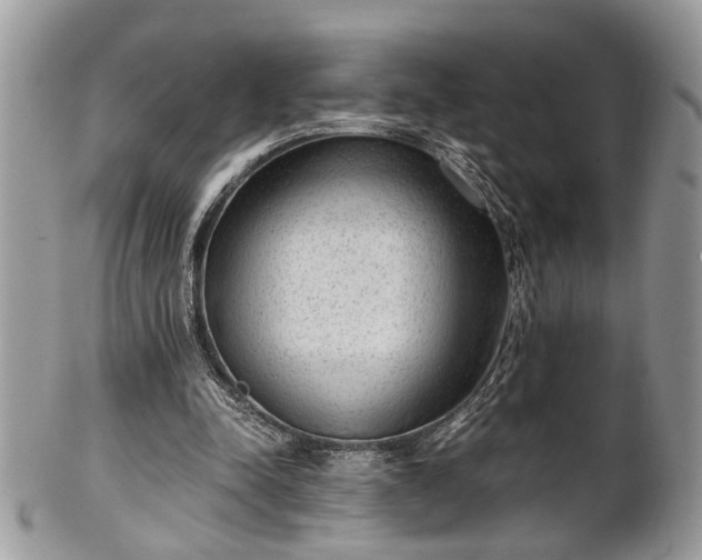 X0000102030342200807251356