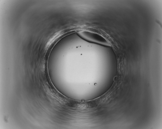 X0000102030344200807251356