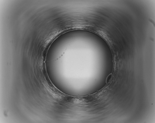 X0000102030346200807251356