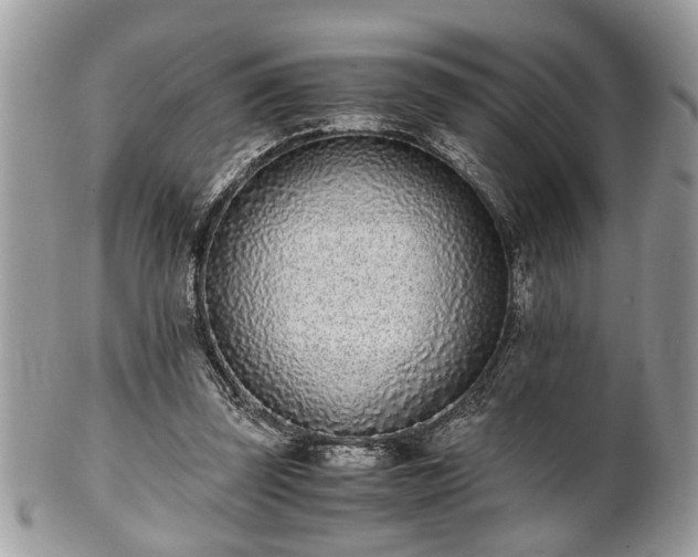 X0000102030347200807251356