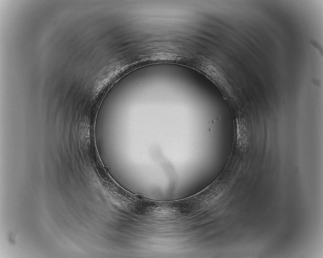 X0000102030348200807251356