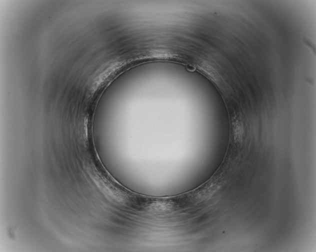 X0000102030350200807251356