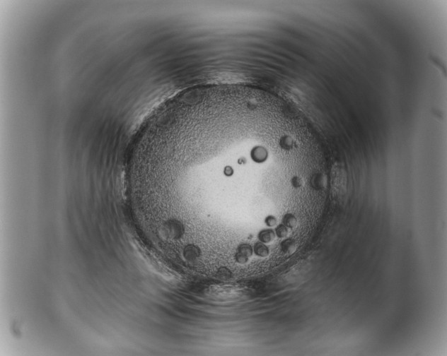 X0000102030351200807251356