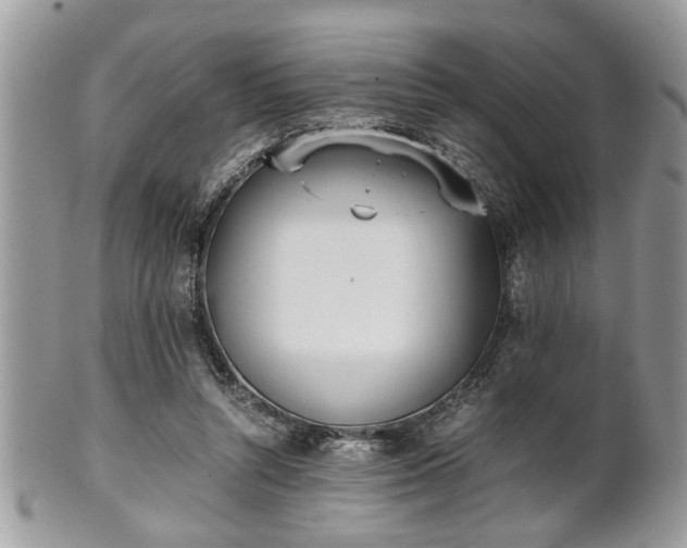 X0000102030352200807251356