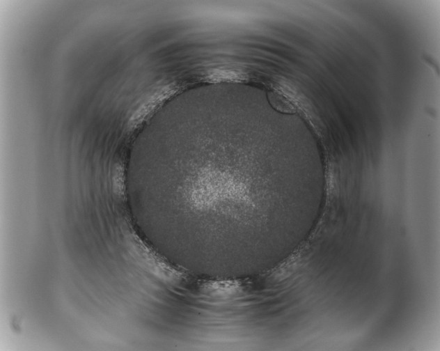 X0000102030353200807251356