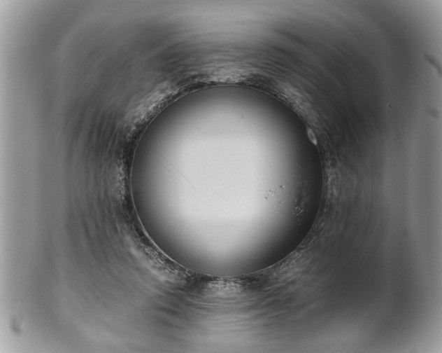 X0000102030354200807251356