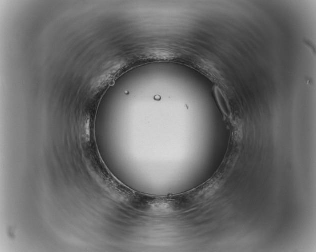 X0000102030358200807251356