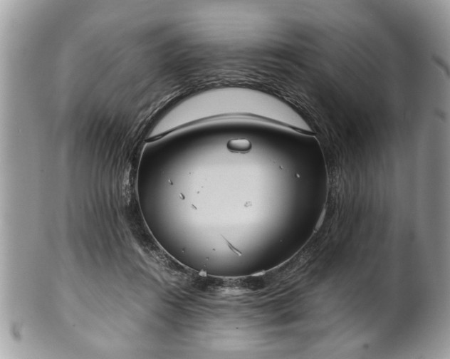 X0000102030360200807251356