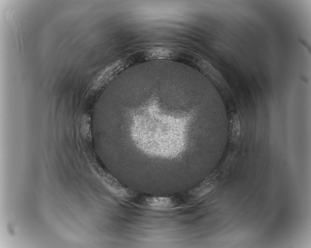 X0000102030361200807251356