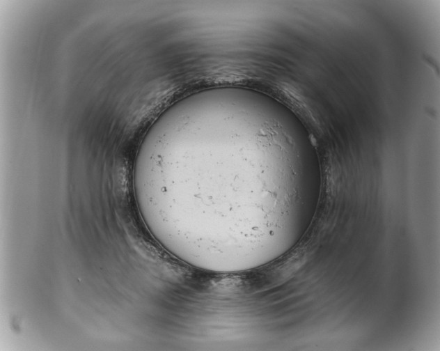 X0000102030362200807251356