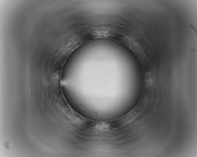 X0000102030369200807251356