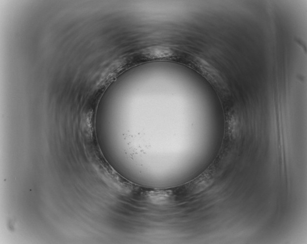 X0000102030373200807251356