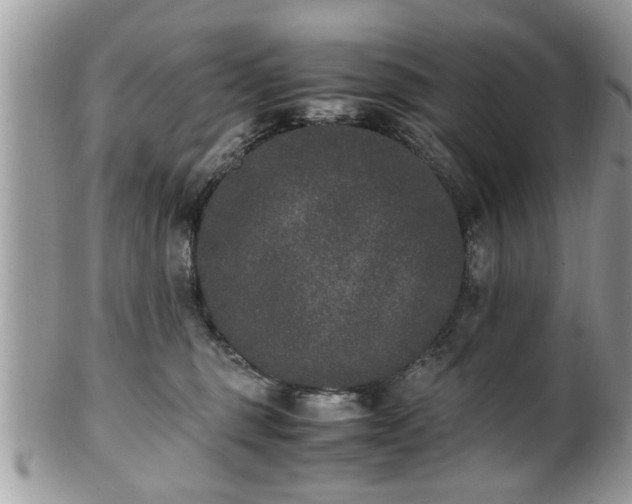 X0000102030375200807251356