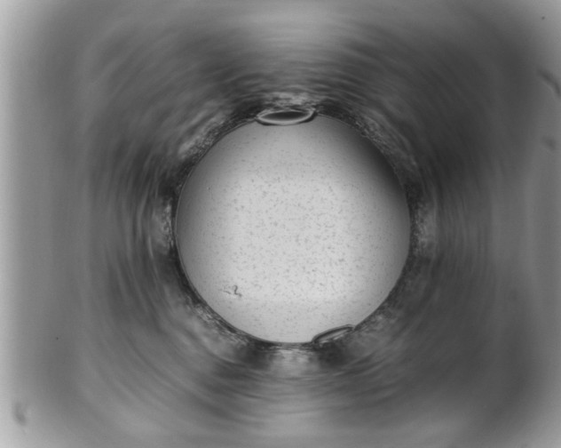 X0000102030376200807251356