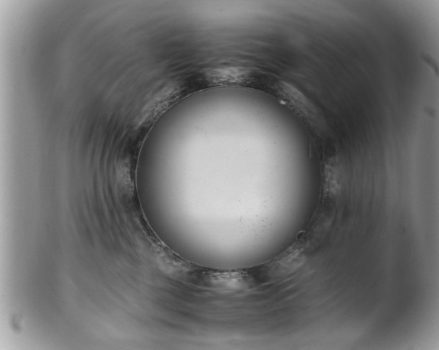 X0000102030377200807251356