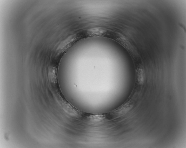 X0000102030378200807251356