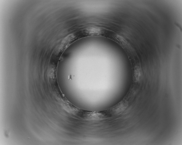 X0000102030379200807251356