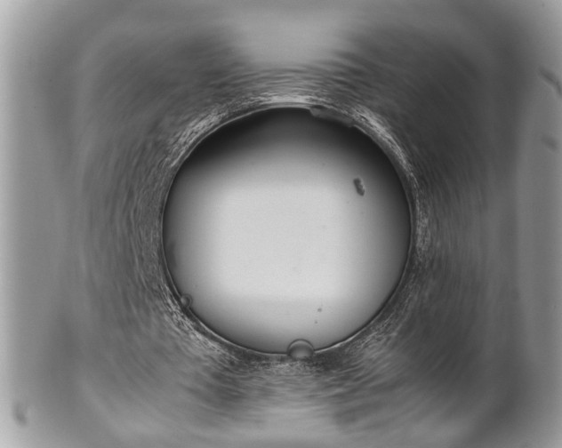 X0000102030385200807251356