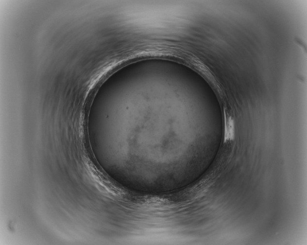 X0000102030387200807251356