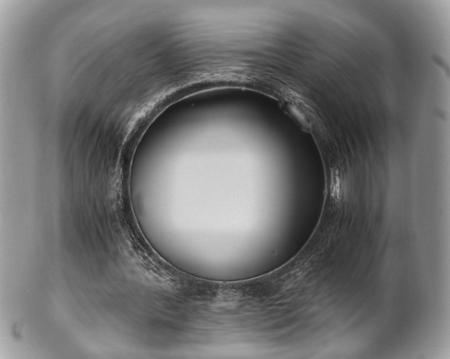 X0000102030388200807251356