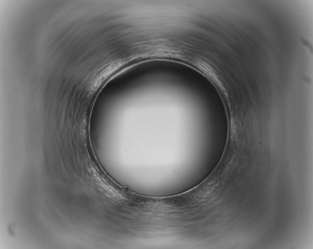 X0000102030389200807251356