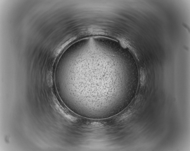 X0000102030390200807251356