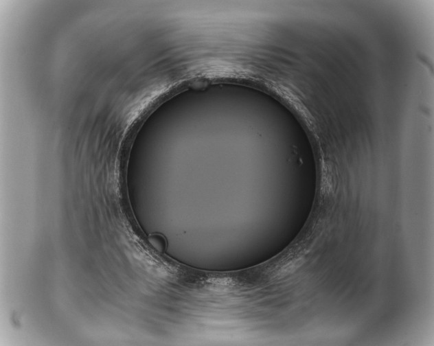 X0000102030391200807251356