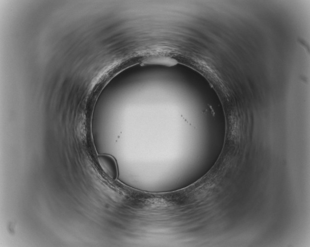 X0000102030392200807251356