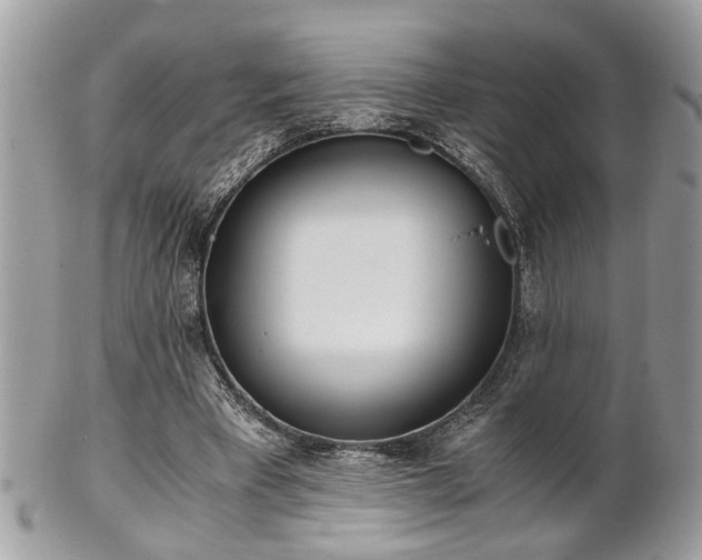 X0000102030393200807251356