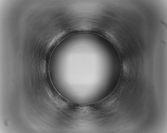 X0000102030396200807251356