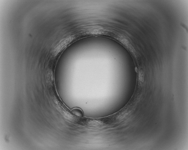 X0000102030397200807251356