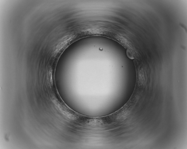 X0000102030398200807251356