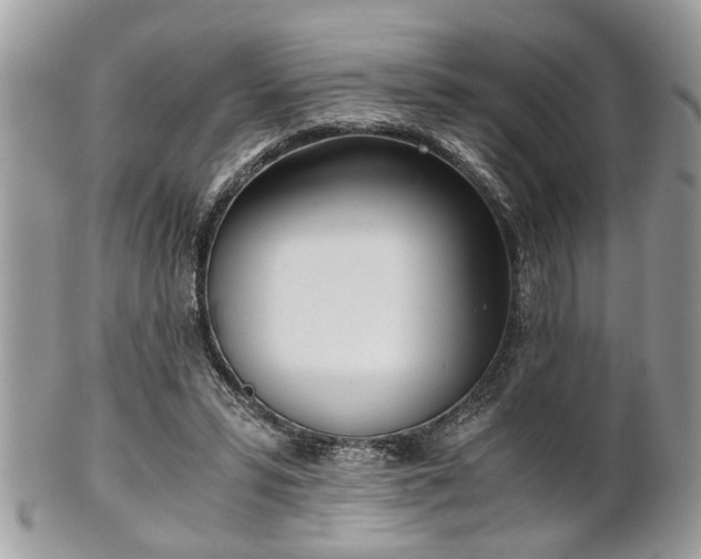 X0000102030399200807251356