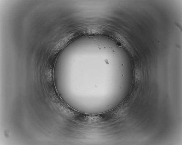 X0000102030401200807251356