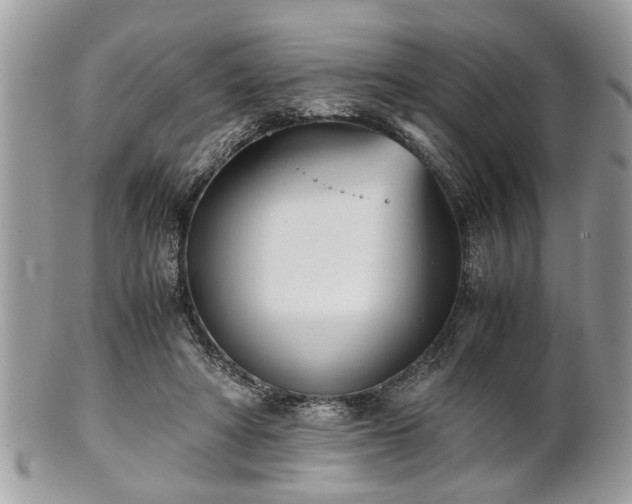 X0000102030402200807251356