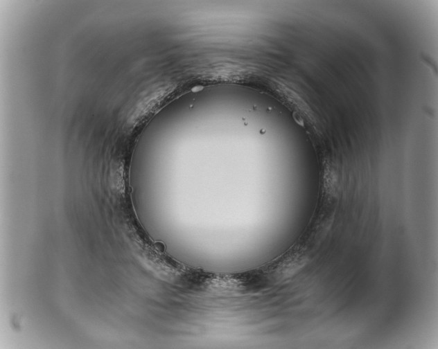 X0000102030403200807251356