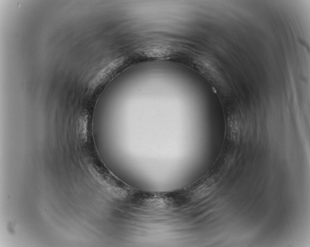 X0000102030404200807251356