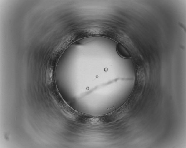 X0000102030406200807251356