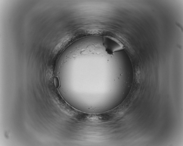 X0000102030407200807251356