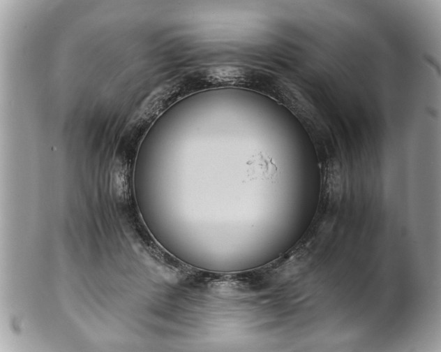 X0000102030408200807251356