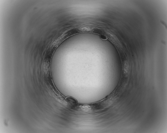 X0000102030409200807251356