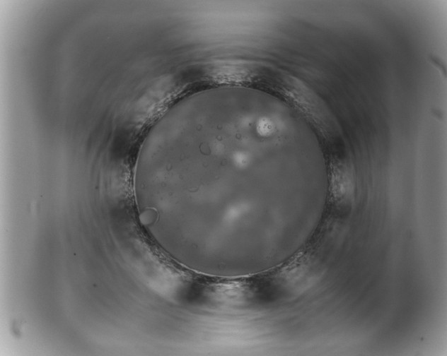 X0000102030411200807251356